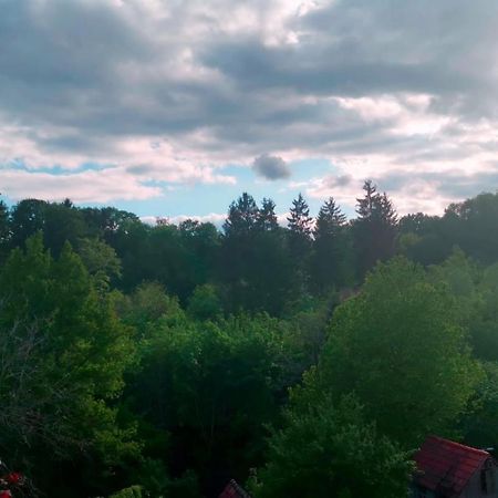 Ferienwohnung Im Manbach Freudenstadt Esterno foto