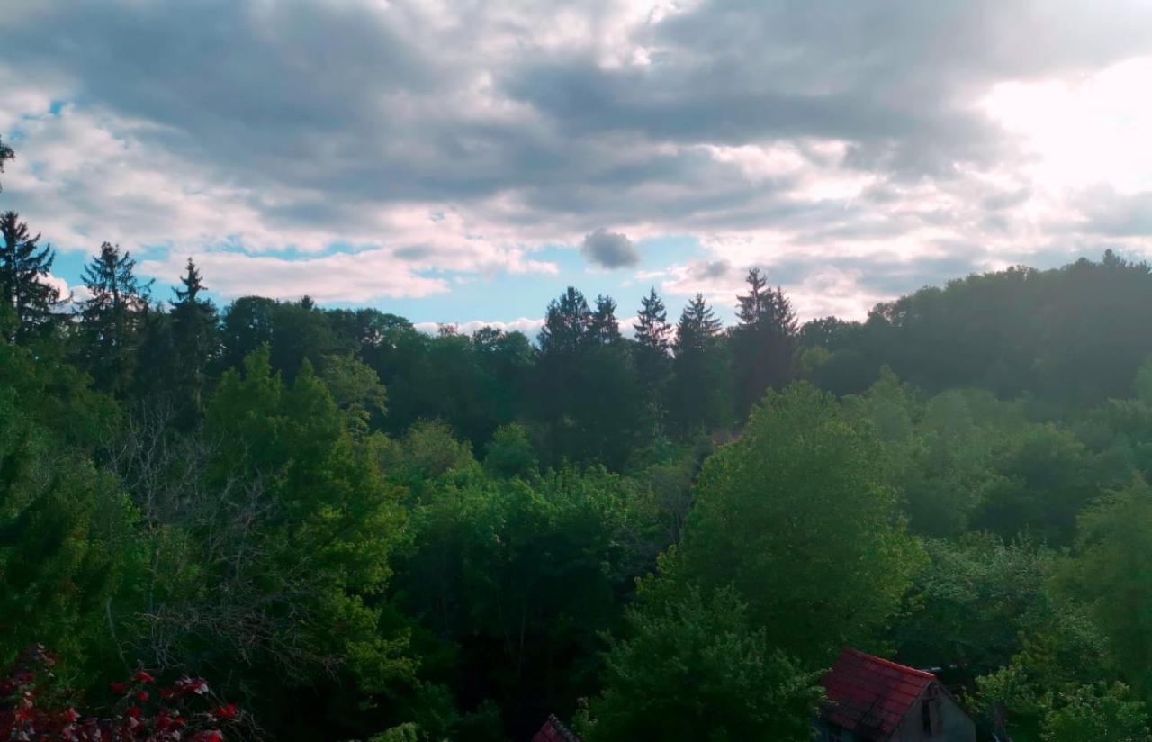 Ferienwohnung Im Manbach Freudenstadt Esterno foto